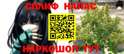 ПСИЛОЦИБИНОВЫЕ ГРИБЫ Краснодар