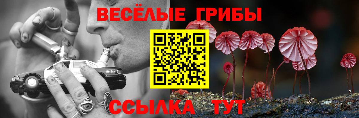 Красноармейск  Галлюциногенные грибы Cubensis  Вход с VPN  Галлюциногенные грибы MAGIC MUSHROOMS 